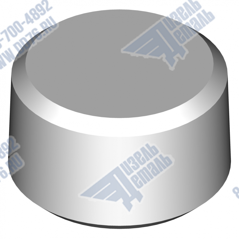 262520-П29 Пробка K3/4''