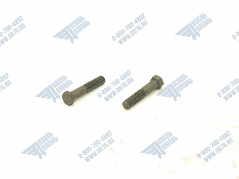 310228-П Болт М10-6gх48